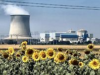 Pros and cons of nuclear power plants