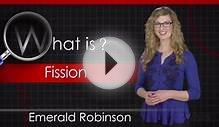 What is Fission?